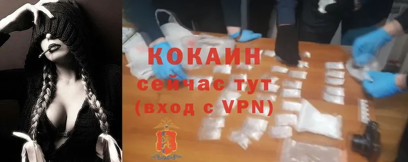 ссылка на мегу tor  Красновишерск  Cocaine VHQ  нарко площадка наркотические препараты  как найти закладки 